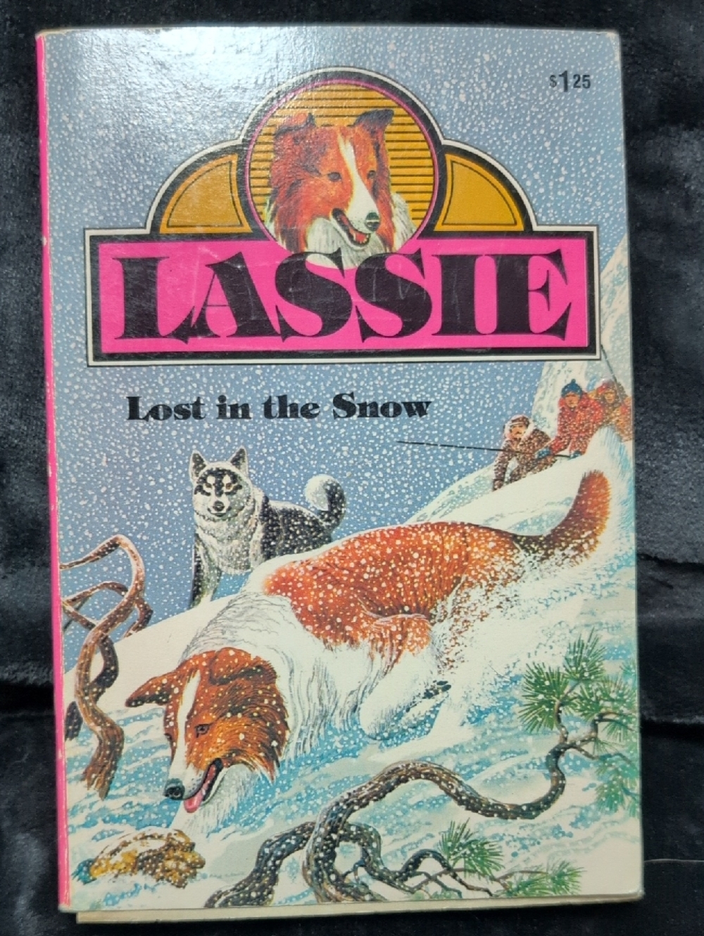 Lassie: Lost in the Snow Paperback Book